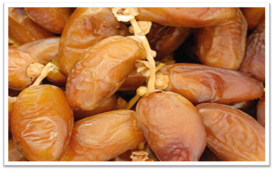 DEGLET NOUR DATES | Tolga Agro Food